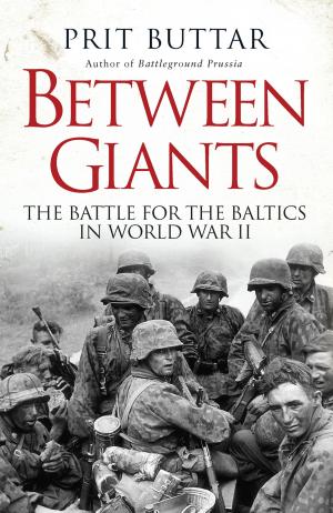 Cover of the book Between Giants by Robert F Stedman
