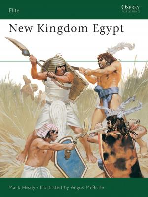 Cover of the book New Kingdom Egypt by Tom Ivie