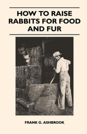 Cover of the book How to Raise Rabbits for Food and Fur by Wolfgang Pauli