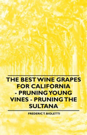 Cover of the book The Best Wine Grapes for California - Pruning Young Vines - Pruning the Sultana by Anna Freud
