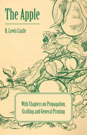 Cover of the book The Apple - With Chapters on Propagation, Grafting and General Pruning by Joseph Tinsley