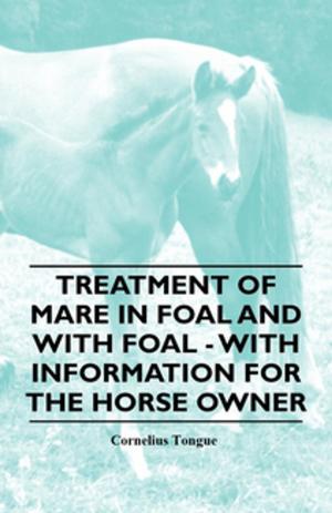 Cover of the book Treatment of Mare in Foal and with Foal - With Information for the Horse Owner by Zane Grey