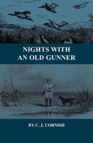 Cover of the book Nights with an Old Gunner and Other Studies of Wild Life by C. R. Nevinson