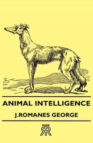 Cover of the book Animal Intelligence by Robert E. Howard