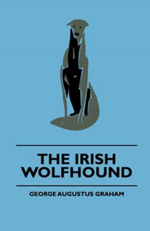 Cover of the book The Irish Wolfhound by Wolfgang Amadeus Mozart