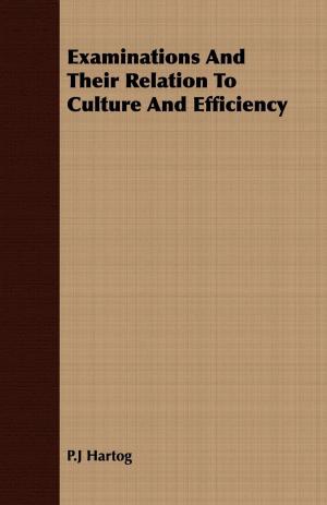 Cover of the book Examinations And Their Relation To Culture And Efficiency by Ernest Bramah