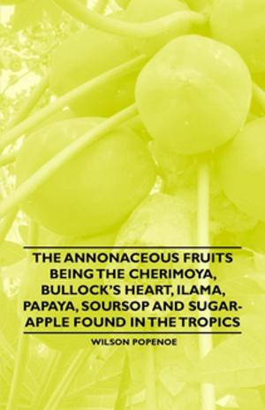 bigCover of the book The Annonaceous Fruits Being the Cherimoya, Bullock's Heart, Ilama, Papaya, Soursop and Sugar-Apple Found in the Tropics by 