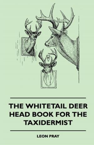 Book cover of The Whitetail Deer Head Book for the Taxidermist