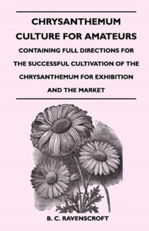 Cover of the book Chrysanthemum Culture For Amateurs: Containing Full Directions For the Successful Cultivation of the Chrysanthemum For Exhibition and the Market by Mary Augusta Ward