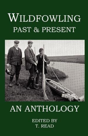 Cover of the book Wildfowling Past & Present - An Anthology by Owen Wister