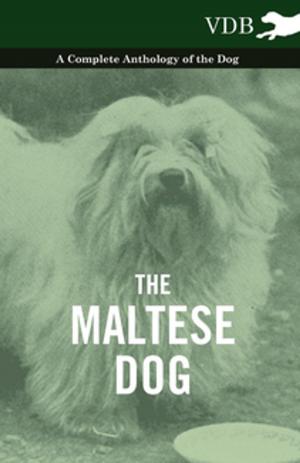 Cover of the book The Maltese Dog - A Complete Anthology of the Dog by Anon.