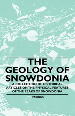Cover of the book The Geology of Snowdonia - A Collection of Historical Articles on the Physical Features of the Peaks of Snowdonia by Robert E. Howard