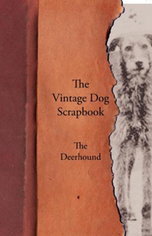 Cover of the book The Vintage Dog Scrapbook - The Deerhound by Elizabeth Cary Agassiz
