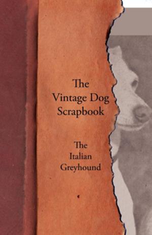 Cover of The Vintage Dog Scrapbook - The Italian Greyhound