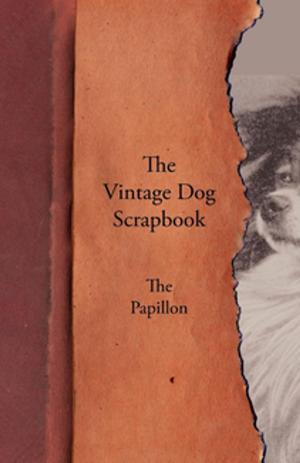 Cover of the book The Vintage Dog Scrapbook - The Papillon by Various Authors