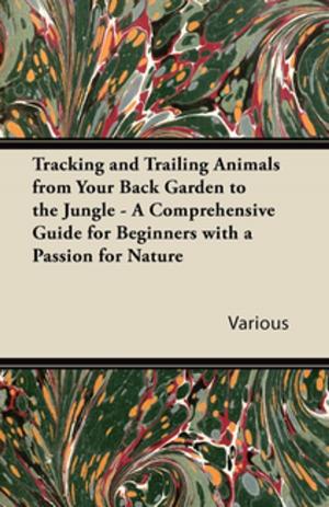 Cover of the book Tracking and Trailing Animals from Your Back Garden to the Jungle - A Comprehensive Guide for Beginners with a Passion for Nature by Charles Major