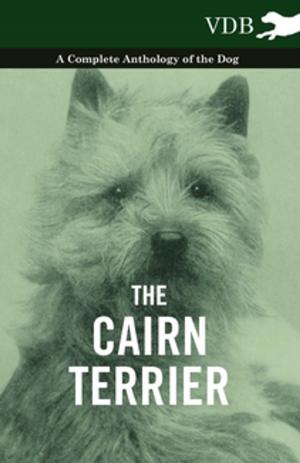 Cover of the book The Cairn Terrier - A Complete Anthology of the Dog - by Edgar Allan Poe