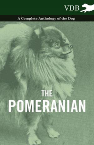 Cover of the book The Pomeranian - A Complete Anthology of the Dog by J. B. Bury