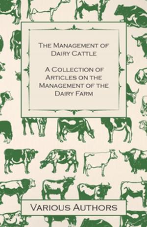 bigCover of the book The Management of Dairy Cattle - A Collection of Articles on the Management of the Dairy Farm by 