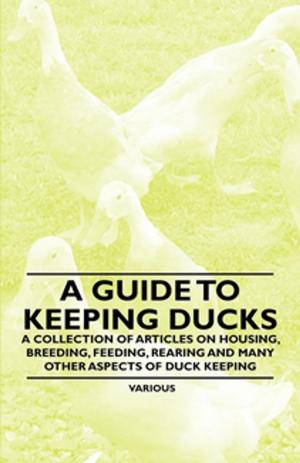 Cover of the book A Guide to Keeping Ducks - A Collection of Articles on Housing, Breeding, Feeding, Rearing and Many Other Aspects of Duck Keeping by Joseph Sheridan Le Fanu