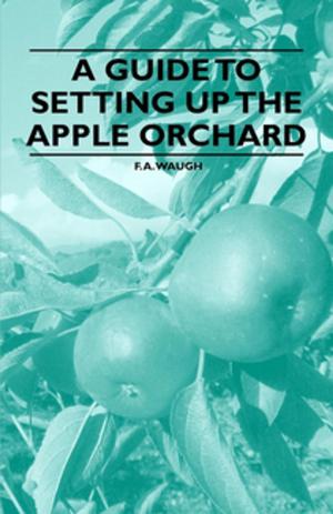Cover of the book A Guide to Setting up the Apple Orchard by William Lyon Phelps