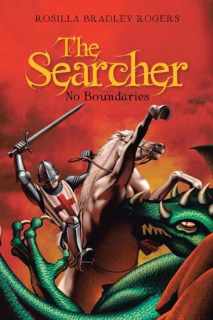 Cover of the book The Searcher by J. Cafesin