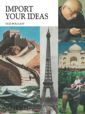 Cover of the book Import Your Ideas by Richard Bogdanowicz
