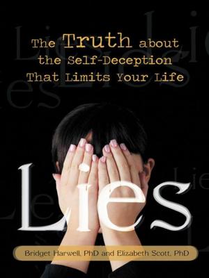 Cover of the book Lies by Nancy Noel Marra