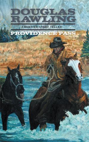 bigCover of the book Providence Pass by 