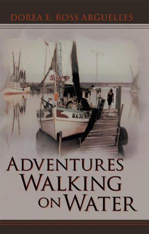 Cover of the book Adventures Walking on Water by Chayym Zeldis