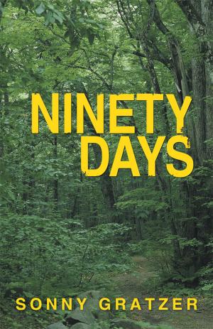 Cover of the book Ninety Days by Ajit Sripad Rao Nalkur