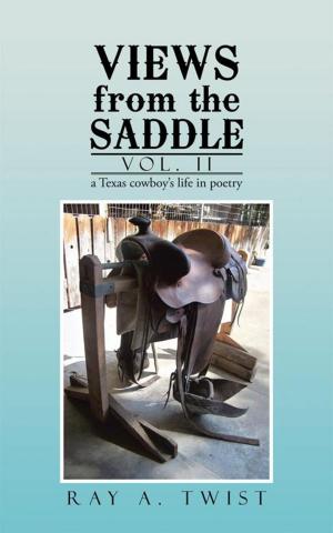 Cover of the book Views from the Saddle by SB Lopez