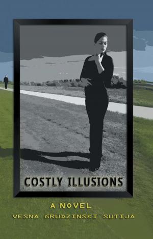 Cover of the book Costly Illusions by Dr. Susan: The Gramma Guru