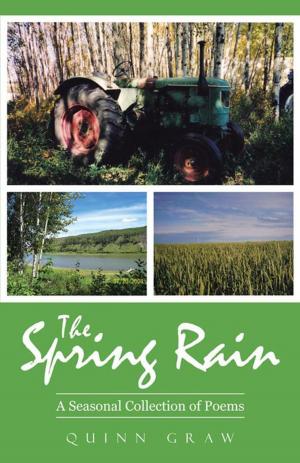 Cover of the book The Spring Rain by Virgil Amundson