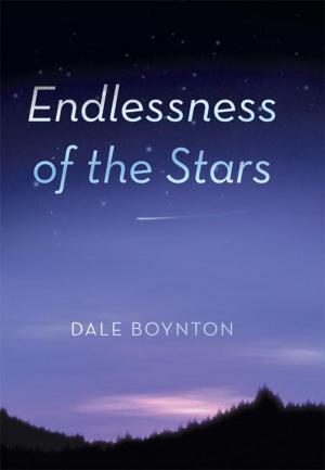 Cover of the book Endlessness of the Stars by J. L. Larson