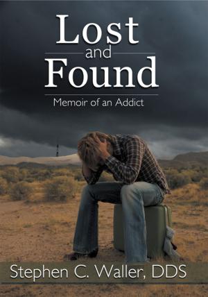 Cover of the book Lost and Found by Stephen D. Hanson