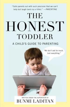 bigCover of the book The Honest Toddler by 