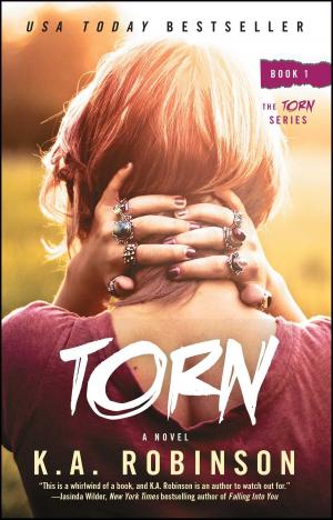 Cover of the book Torn by Amy Alcott