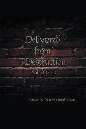 Cover of the book Delivered from Destruction by Drew Martensen