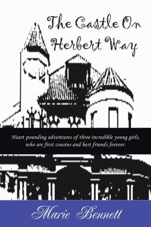 Cover of the book The Castle on Herbert Way by Jon Couch