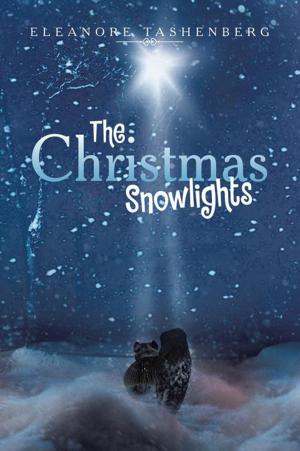 Cover of the book The Christmas Snowlights by Deborah Ruth Dinnall