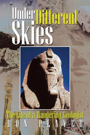 Cover of the book Under Different Skies by Irmgard Withers