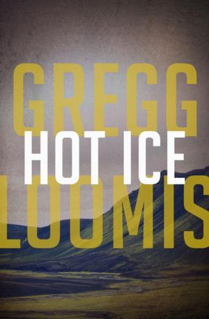 Cover of the book Hot Ice by Lavina Giamusso