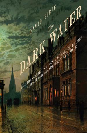 Cover of the book The Dark Water by Kate Williams