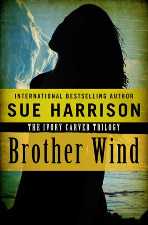 Cover of the book Brother Wind by Stephen Becker