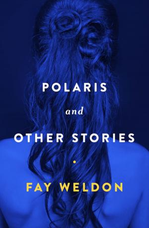 Cover of the book Polaris by Laura Z. Hobson