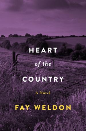 Cover of the book The Heart of the Country by Lillian Shelley