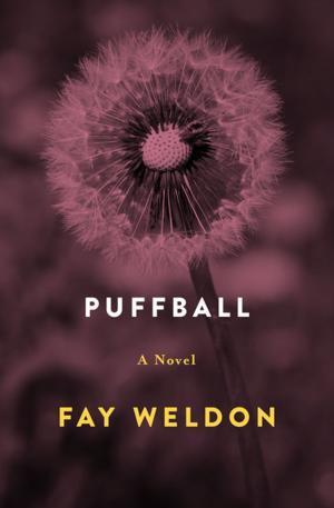 Book cover of Puffball