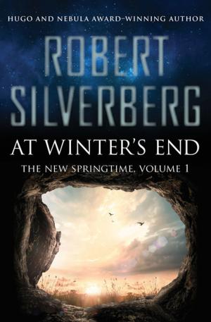 Cover of the book At Winter's End by Howard Fast