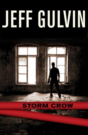 Cover of the book Storm Crow by Catherine Aird